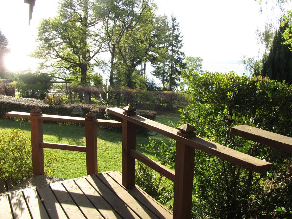 Cabanas Portal Pucón الغرفة الصورة